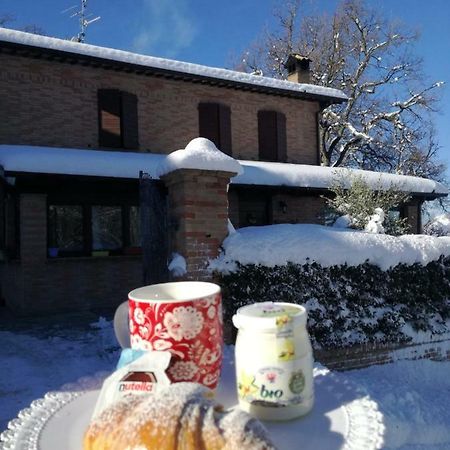 Bed and Breakfast Il Castagneto Camerino Exterior foto
