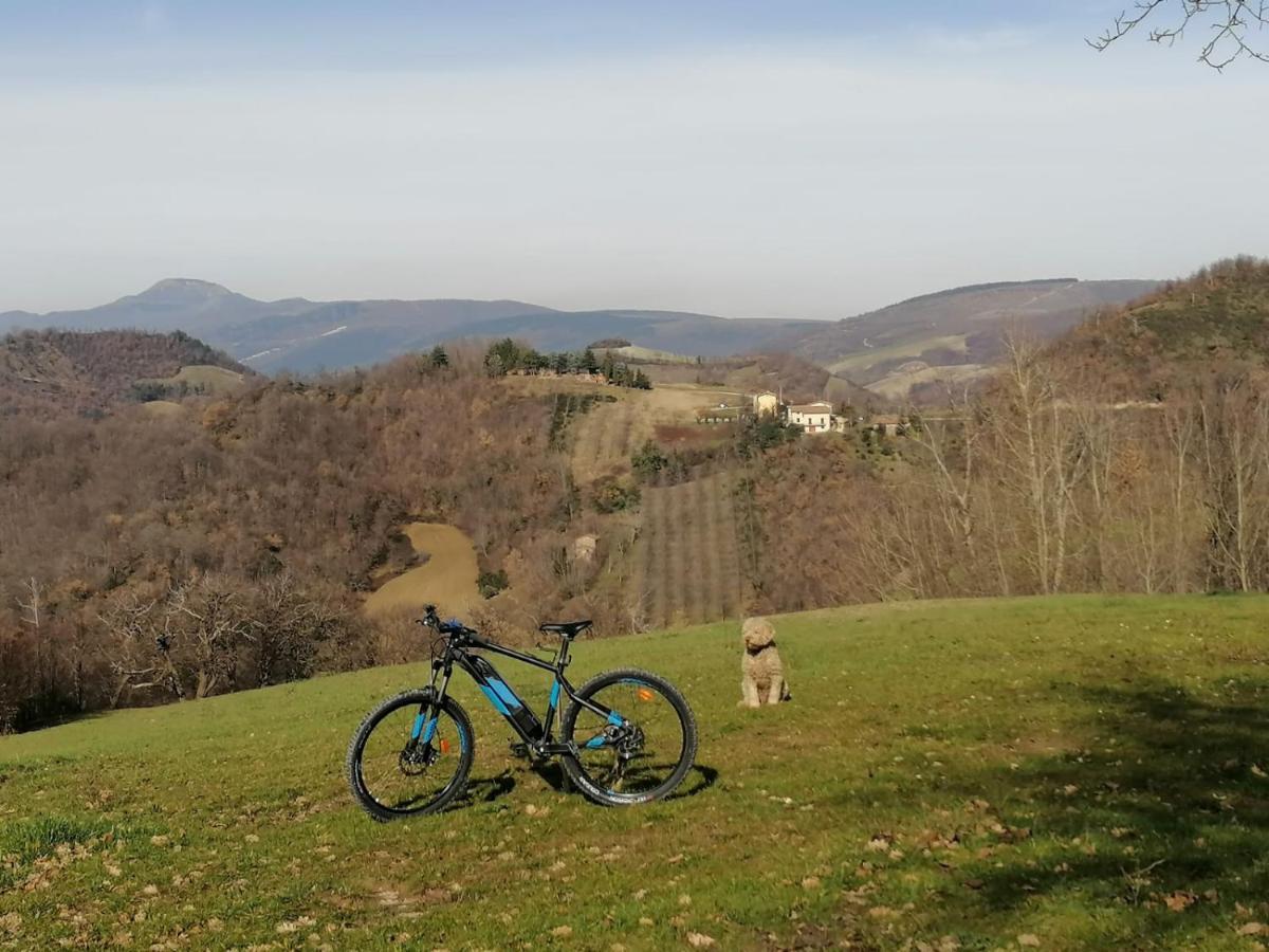 Bed and Breakfast Il Castagneto Camerino Exterior foto