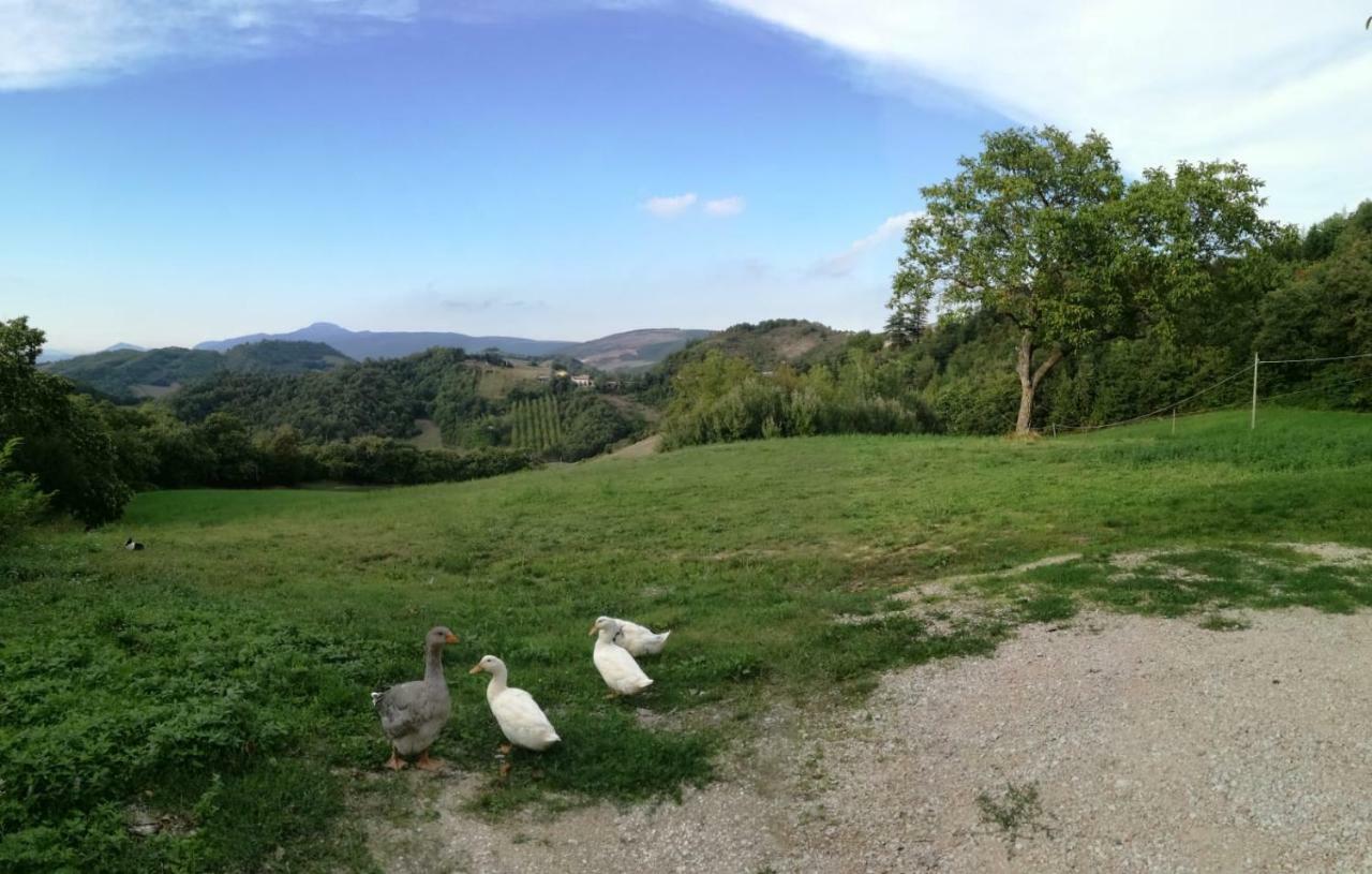 Bed and Breakfast Il Castagneto Camerino Exterior foto
