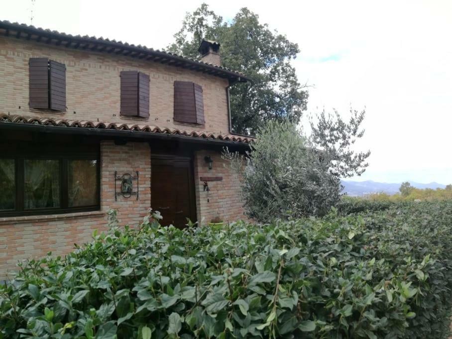 Bed and Breakfast Il Castagneto Camerino Exterior foto